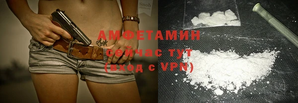 прущие грибы Балабаново