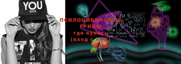 прущие грибы Балабаново