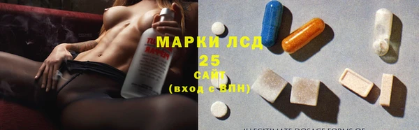 прущие грибы Балабаново