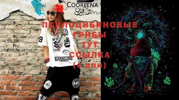 apvp Баксан