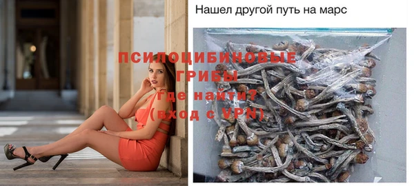 ешки Балахна