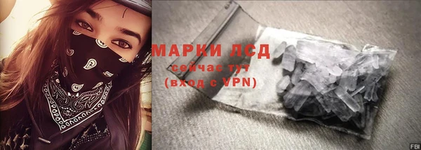 прущие грибы Балабаново