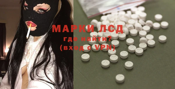 прущие грибы Балабаново