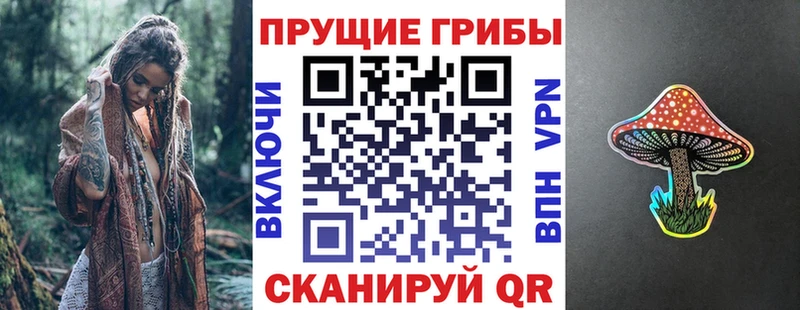 что такое   Перевоз  Галлюциногенные грибы Psilocybine cubensis 